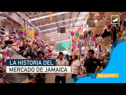 La guía definitiva para ir al Mercado de Jamaica