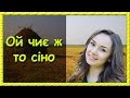 Українські пісні про кохання. Ой чиє ж то сіно