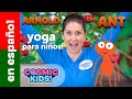 Arnold la Hormiga | Una aventura de Cosmic Kids Yoga! 🐜