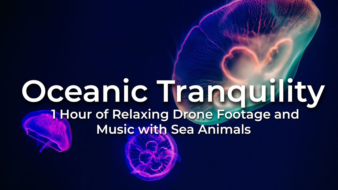 Oceanic Tranquility 1 Hour of Relaxing Drone Footage and Music with