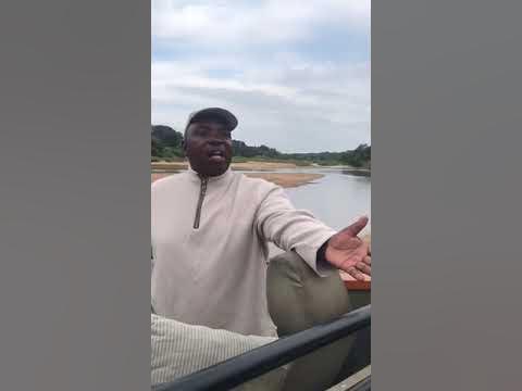 Talk On Wild Dogs Versus Hyenas By Temba Our Guide - YouTube