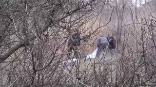 Труп в Каменске Труп в Каменске