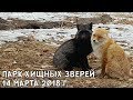 ПАРК ХИЩНЫХ ЗВЕРЕЙ 14 МАРТА 2018 Г.