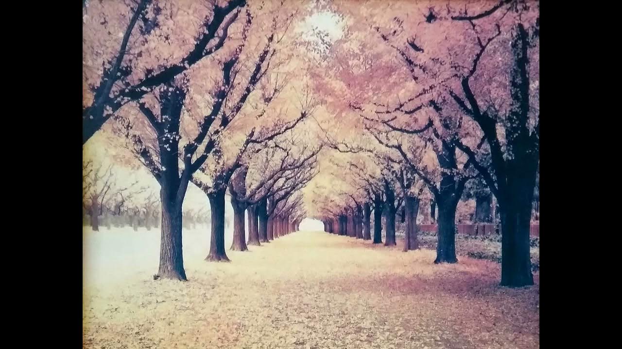 Регресия на Нора с водещ Борислав Русанов - YouTube