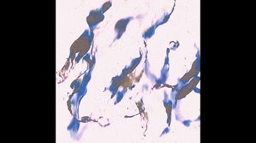 Sonn Ten - Ethics [F4T20]