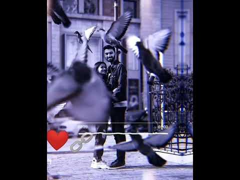 یک نفر میرسد از راه
