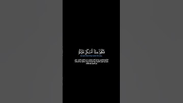 سورة المائدة: الآية [٤]#القرآن_الكريم #الفرقان #سورة_النساء #عبدالله_الموسى #قرآن #تلاوة #آيات