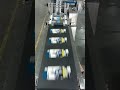 LOM 800 width paginated conveyor belt can be paired with a flat labeling machine