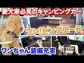 ワンちゃんと快適旅したい人必見のキャンピングカー「ワンピングエース」。トヨタディーラーで買えます！