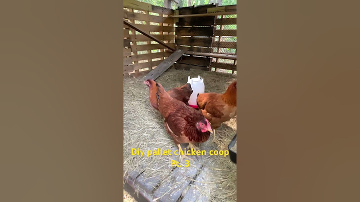 Diy Reclaimed wood Chicken coop Complete pt. 3 #nature #farm #sustainability #chickens