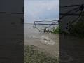 While fishing in the river, my grandfather caught a huge fish and surrounded it with a net.#short