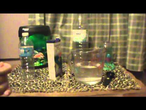 Using Aquarium saltwater for SEA-MONKEYS - YouTube