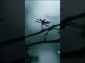#বৃষ্টি