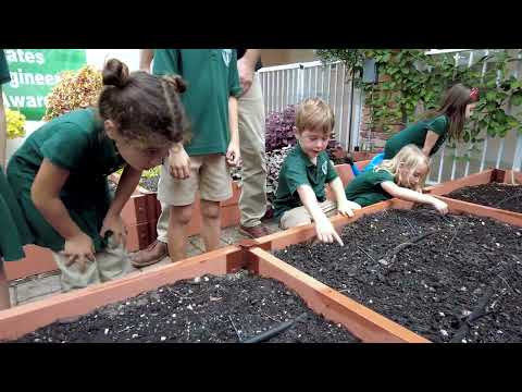 Pine Crest School Kindergarteners Plant Peculiar Produce