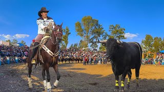 JARIPEO DE TOROS BRAVOS BRAVOS BUSCA CABALLOS!! CANTABRIA MICHOACAN 27 ENERO 2025