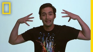 Jason Silva on Money | Brain Games