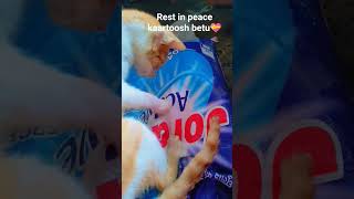 rest in peace kaartoosh betu 💝 #love #animallife #restinpeace #emotional #kindness
