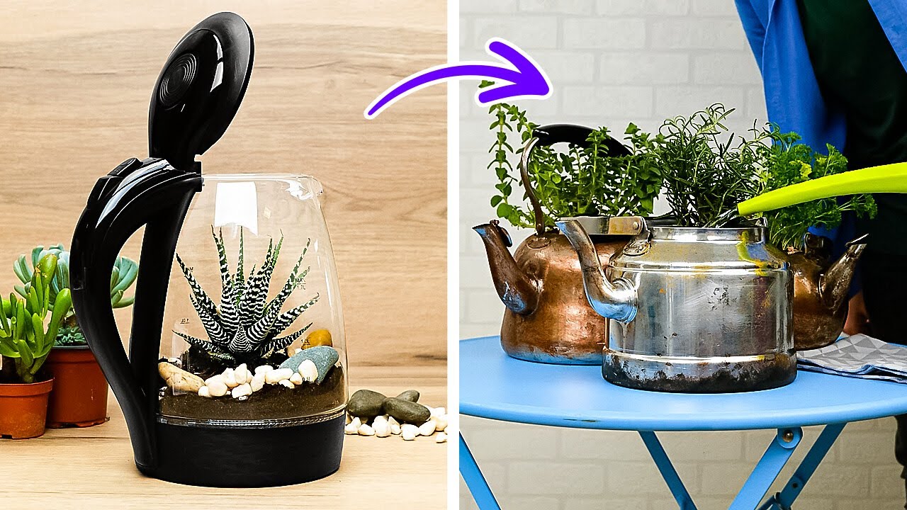 حولي بلكونتك أو حديقتك إلى جنة خضراء من القمامة! 😲🌿 أفكار عبقري مش هتخطر على بالك