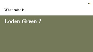 Loden Green color #747a59 hex color - Green color - Cool color 747a59