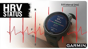 HRV-status: wat betekent dit voor mij en waarom is het belangrijk?