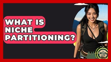 What Is Niche Partitioning? - The Wild Life Explorer