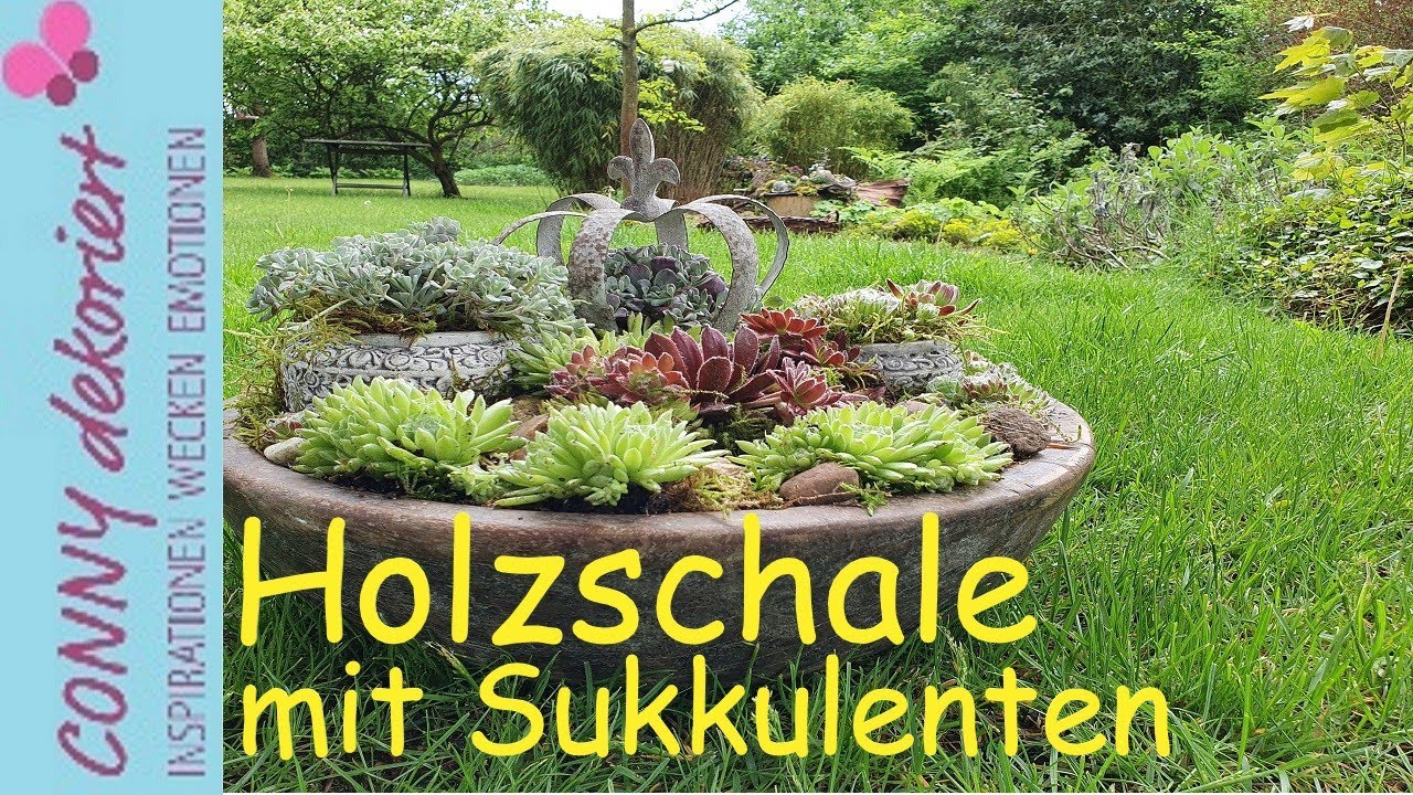 Tischdeko mit Sukkulenten, Moos und Steinen| Ein kleiner Steingarten für den Tisch