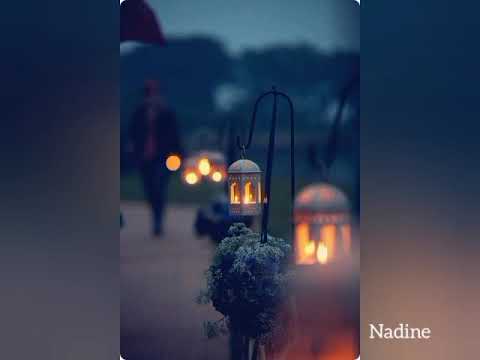 موسيقى أين قلبي