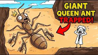 Ant Workers Hold Their Queen Down Until She Dies