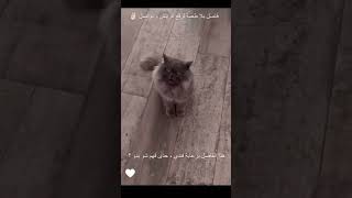 لازم هنتفارق ?? shortsvideo shortvideo shorts