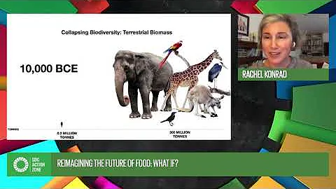 Reimagining the Future of Food with Rachel Conrad ...
