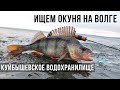 ИЩЕМ ОКУНЯ на ВОЛГЕ / Ульяновск, Куйбышевское водохранилище.