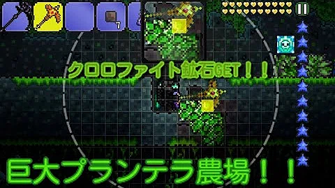 تحميل クロロファイト