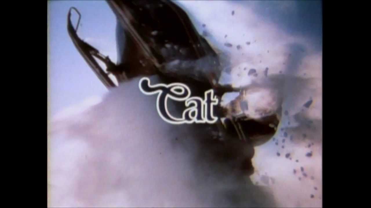 best way to make your dog lose weight