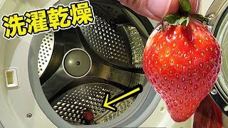 苺を洗濯乾燥機に入れてドライフルーツ作るぞ!!　PDS