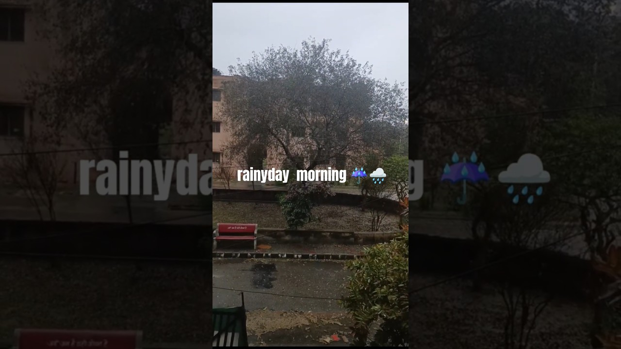 Heavy rain 🌧️☔