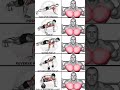 Best Chest Exercises | Grow Upper, Middle & Lower Pecs