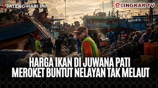 FISH PRICES SOAR AT JUWANA PATI FISH MARKET, SUPPLY IS TIGHT AND MANY FISHERMEN REMAIN DOCKED