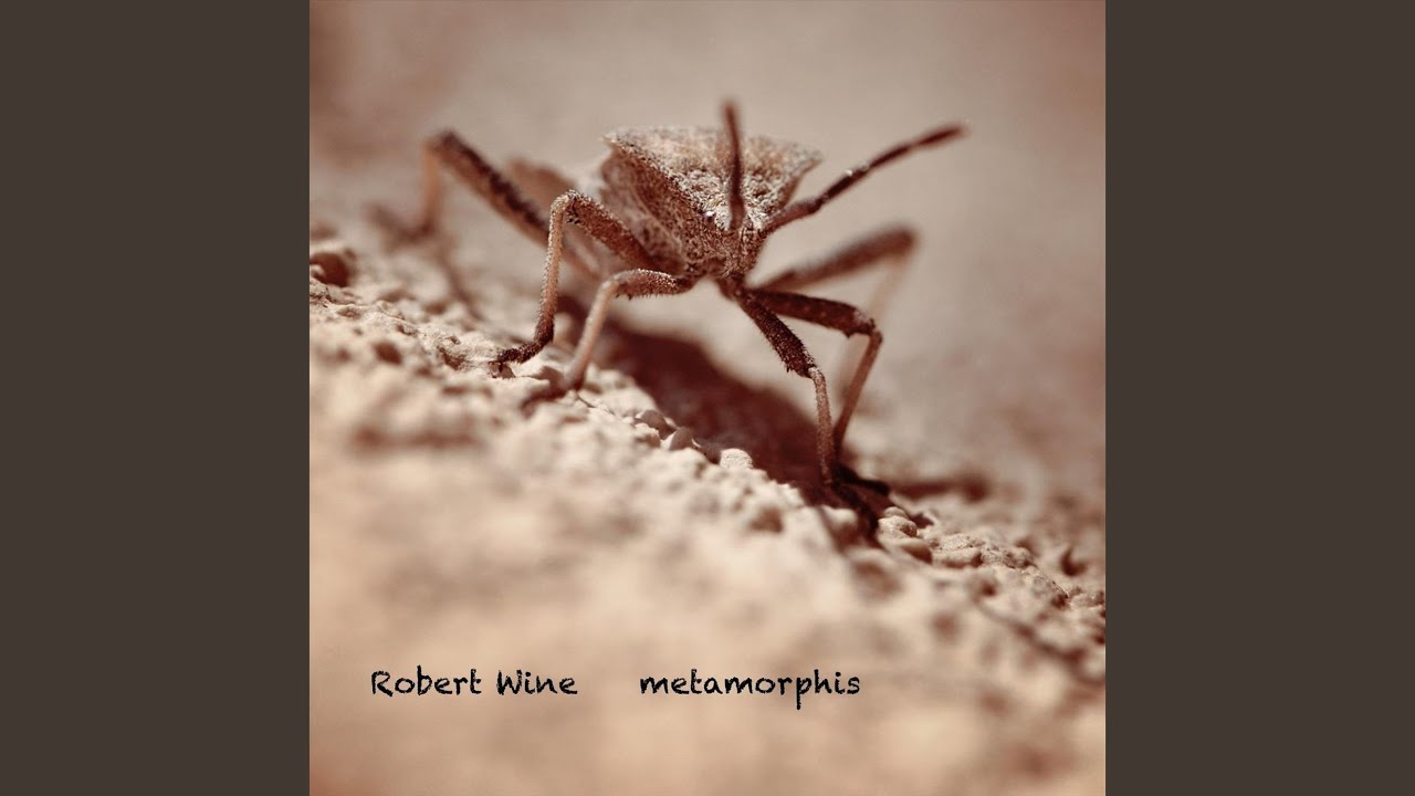 YouTube에서 Metamorphis 보기 YouTube에서 Metamorphis 보기