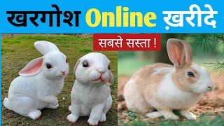 pets online shopping india ,, pets online shopping app ,, rabbits for sale ,, dog buy online ,, screenshot 3