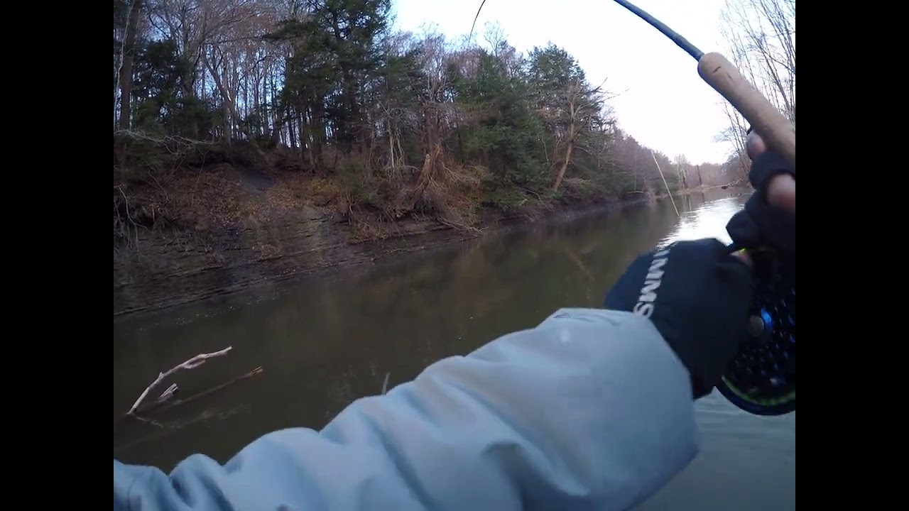 2019 Center Pin Steelhead Erie, Pa