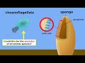 Origins and Evolution of Life
