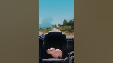 FFXIV - Capybara in da Car