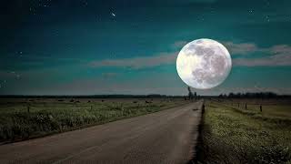 Locraft Melancholy No Copyright Lofi Music