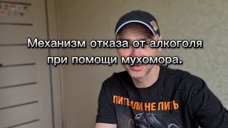 Отказ от алкоголя при помощи мухомора. Принцип действия.