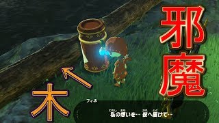 フィネちゃんがボトル投げる時に目の前に障害物あったらどうなるのか？【ゼルダの伝説ブレスオブザワイルド】検証　実況