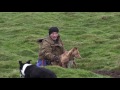Rabbiting in the Dales