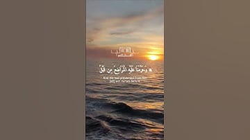 وأصبح فؤاد أم موسى فارغا.... للقارئ ياسر الدوسري