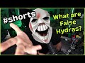 What is a false hydra in dd