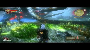 The Witcher 2 - Defeat the Kayran!