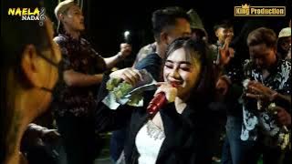 TOANG TAMBI -  IIS OZAWA -  NAELA NADA LIVE DESA SUMBER LOR TANGGAL 08 DESEMBER 2023